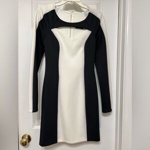 NWT: GUESS Black & White Long Sleeve Panel Dress